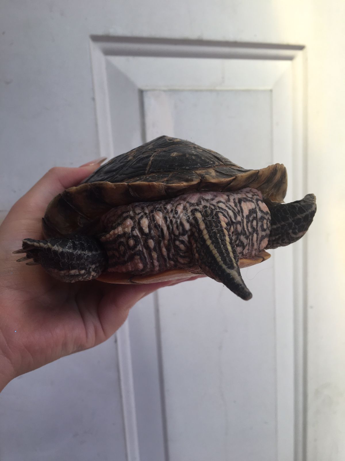 WhatsApp Image 2022-11-14 at 12.37.29 PM.jpeg