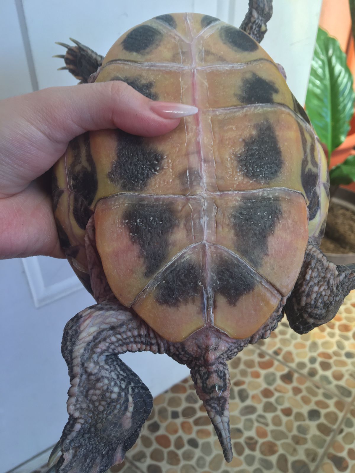 WhatsApp Image 2022-11-14 at 12.37.30 PM.jpeg