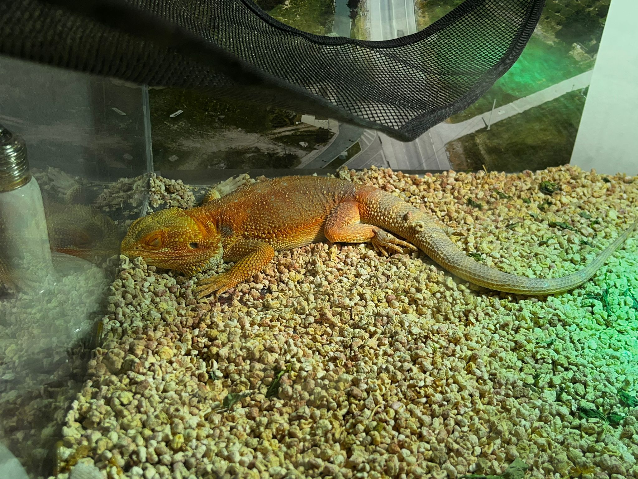 WhatsApp Image 2023-06-09 at 11.45.24.jpeg