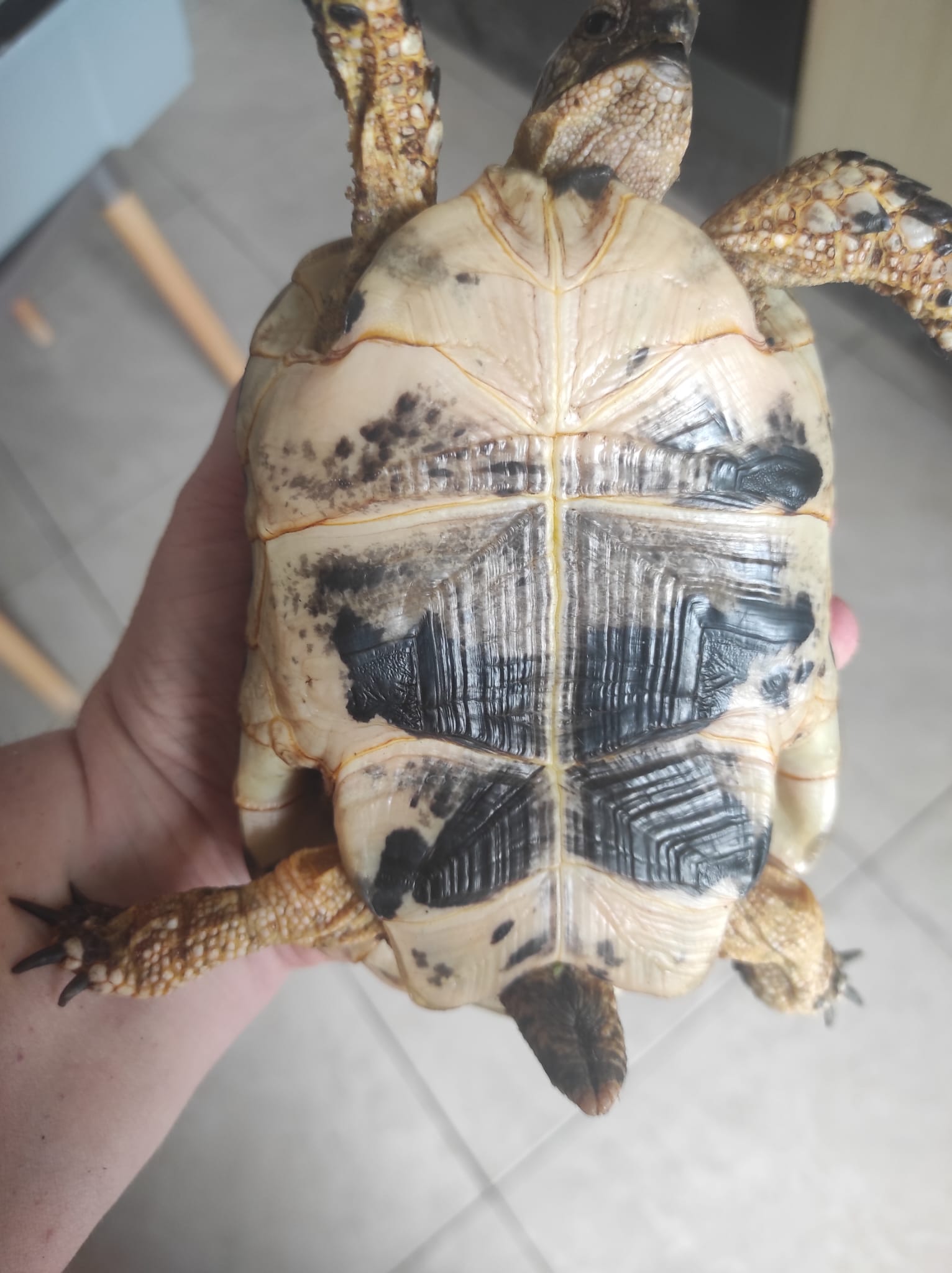 WhatsApp Image 2023-09-19 at 13.19.47 (2).jpeg