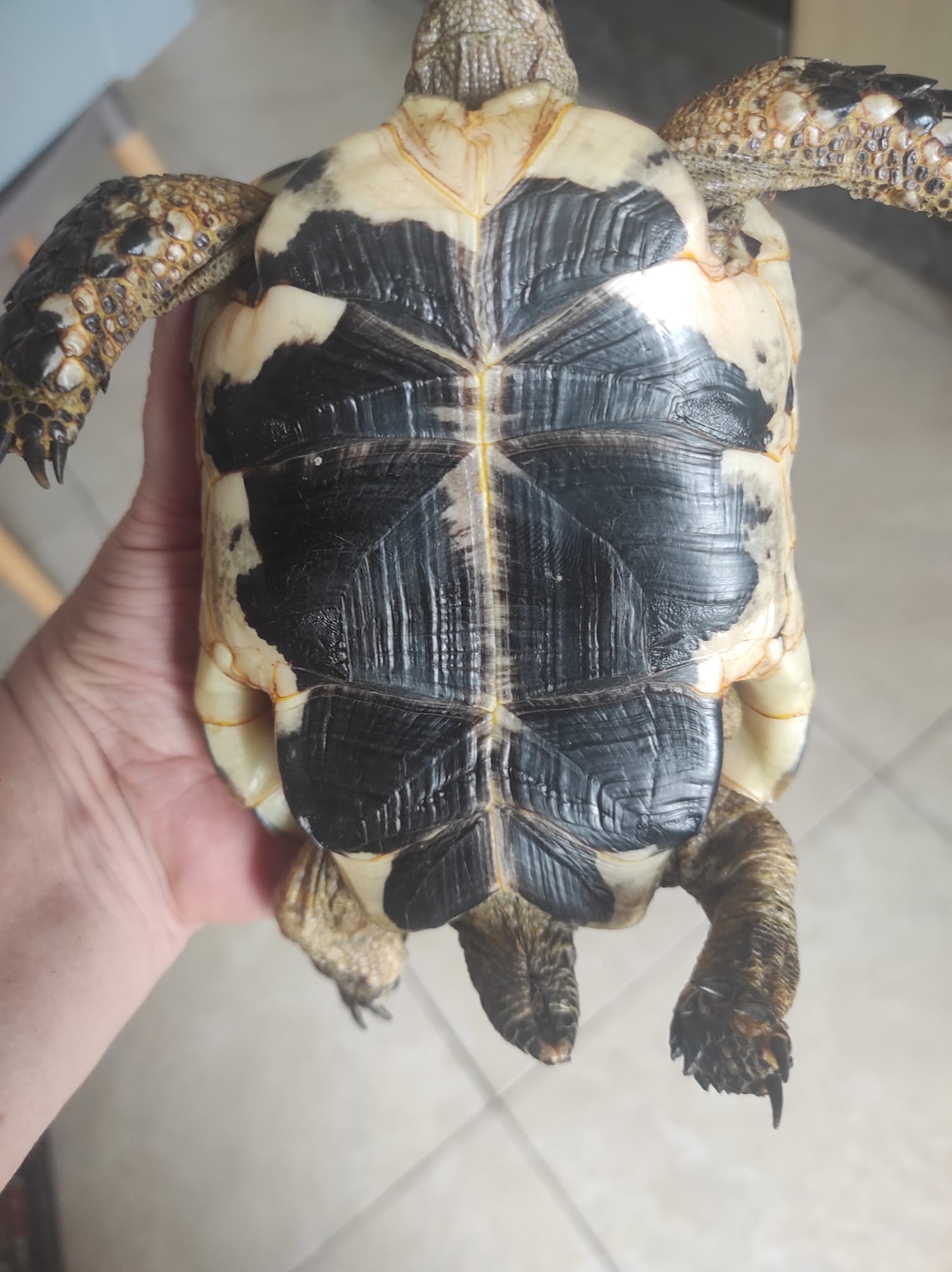 WhatsApp Image 2023-09-19 at 13.19.47 (3).jpeg