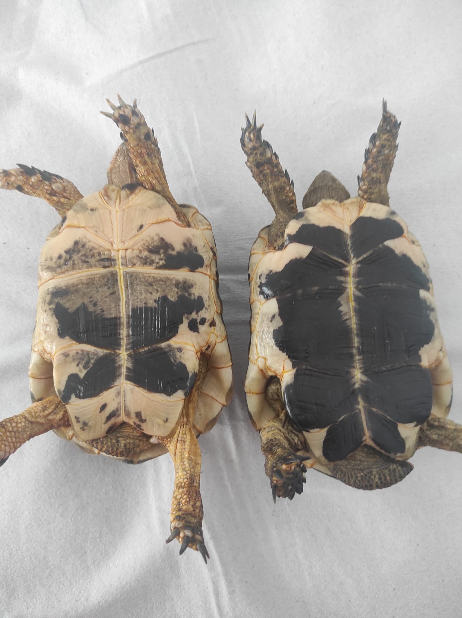 WhatsApp Image 2023-09-19 at 13.19.47.jpeg