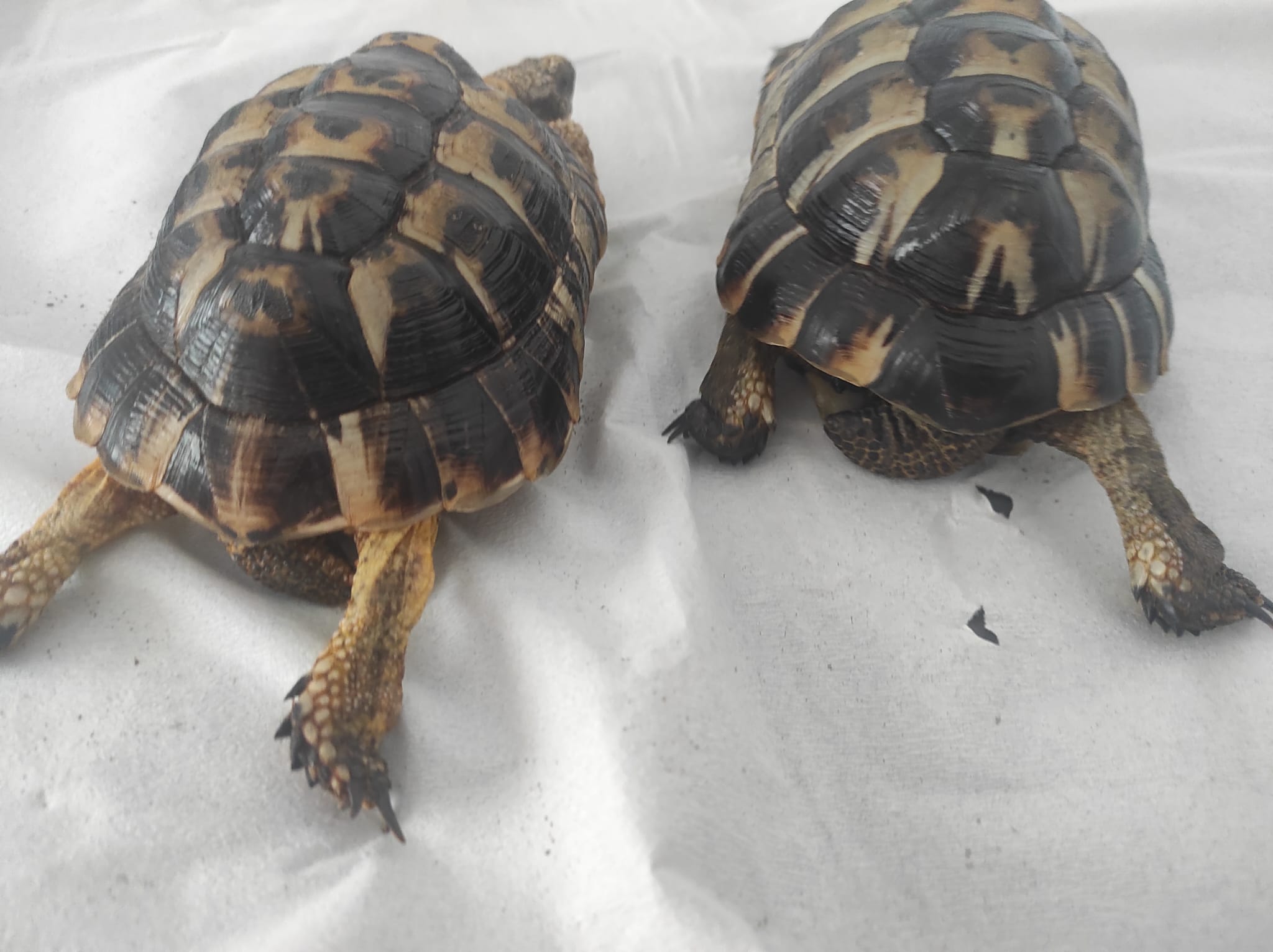 WhatsApp Image 2023-09-19 at 13.19.48.jpeg