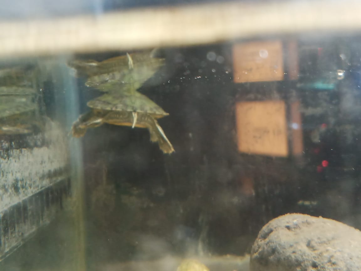 WhatsApp Image 2023-09-25 at 9.48.03 PM.jpeg