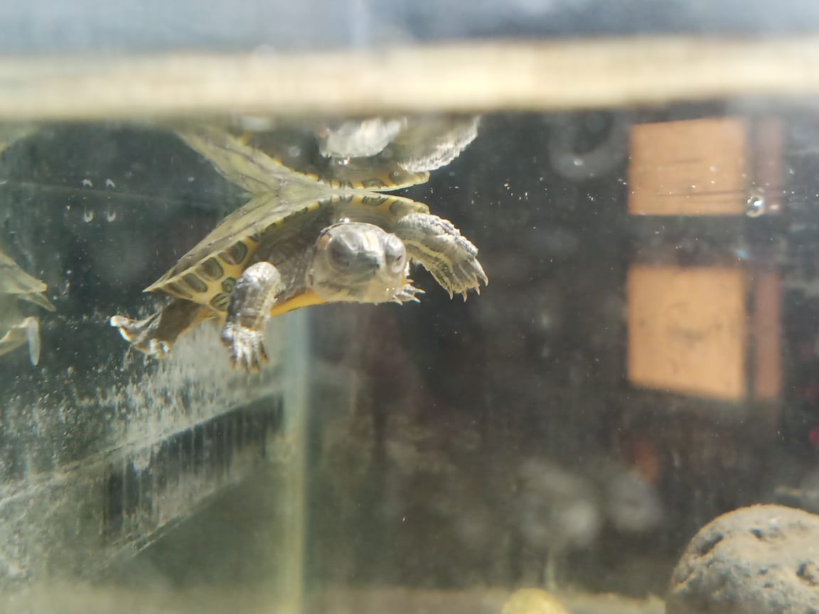 WhatsApp Image 2023-09-25 at 9.48.05 PM.jpeg