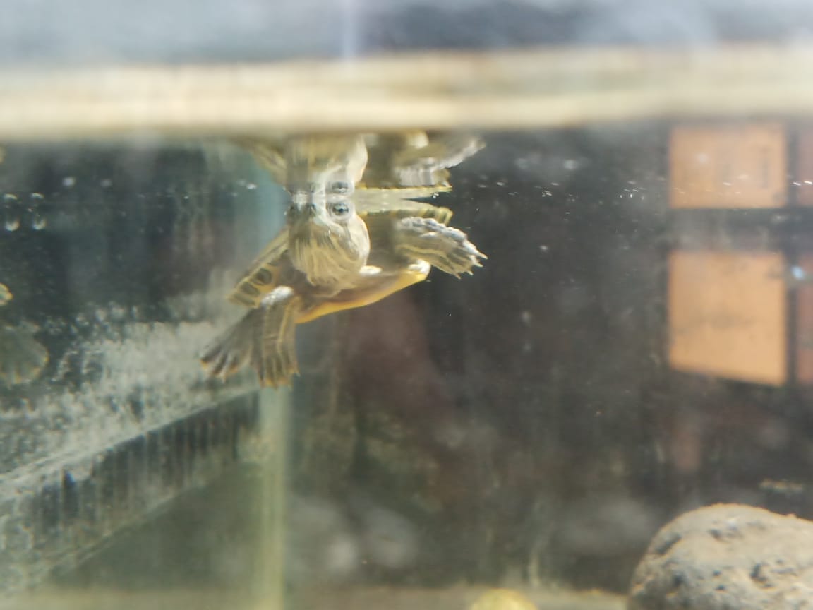 WhatsApp Image 2023-09-25 at 9.48.06 PM.jpeg