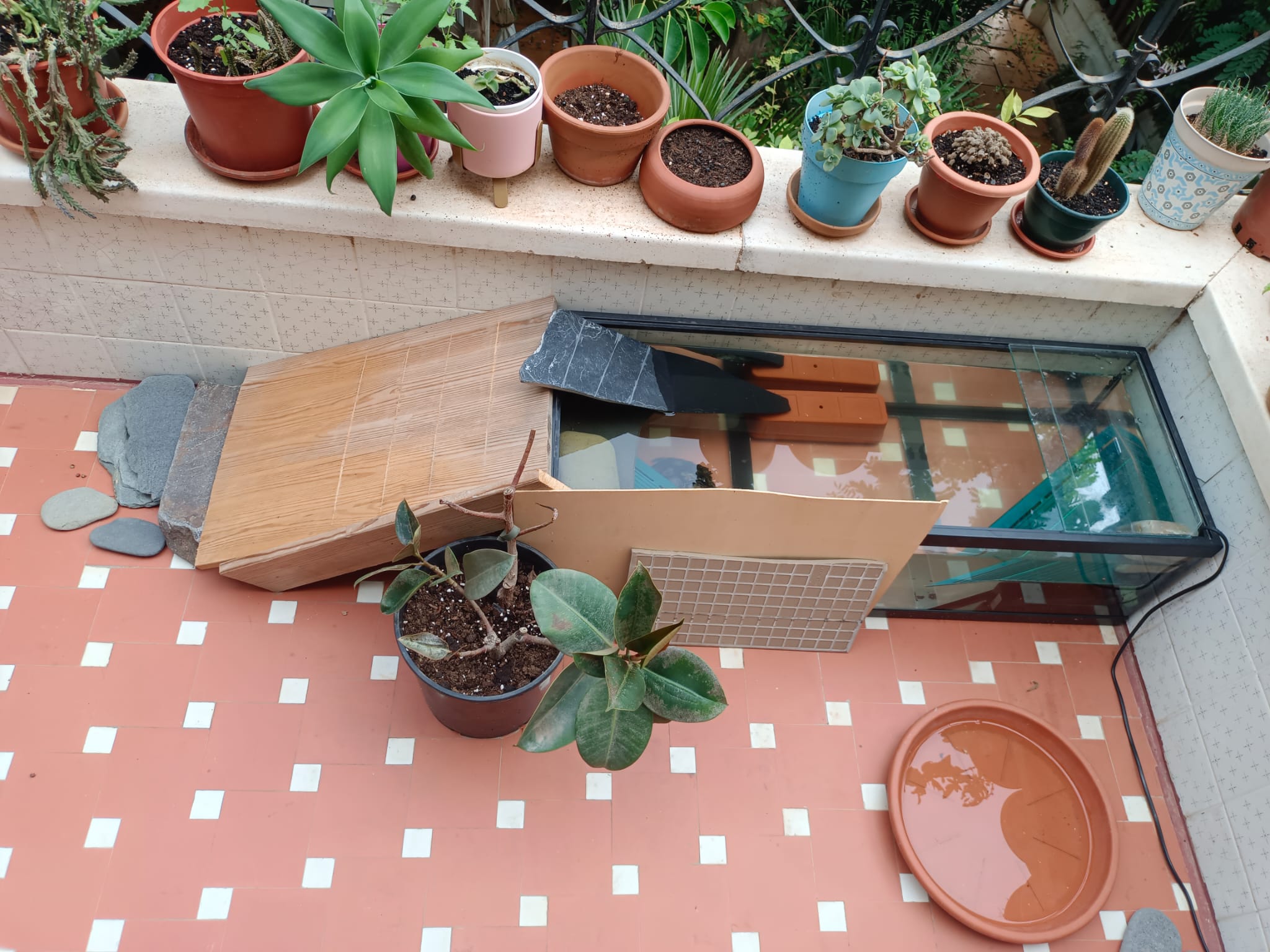 WhatsApp Image 2023-10-16 at 16.28.29.jpeg