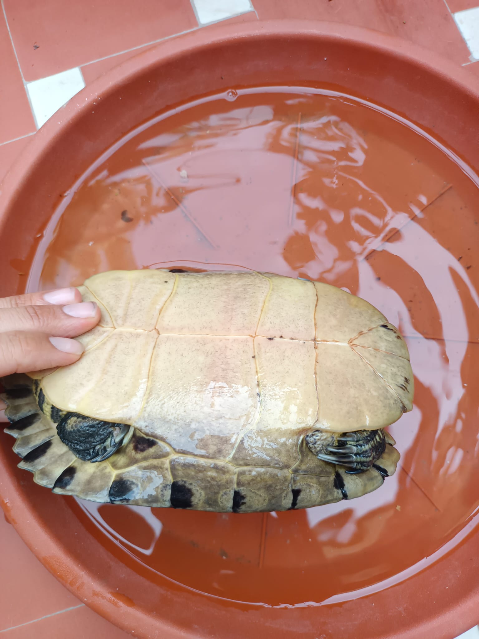 WhatsApp Image 2023-10-16 at 16.28.30 (1).jpeg