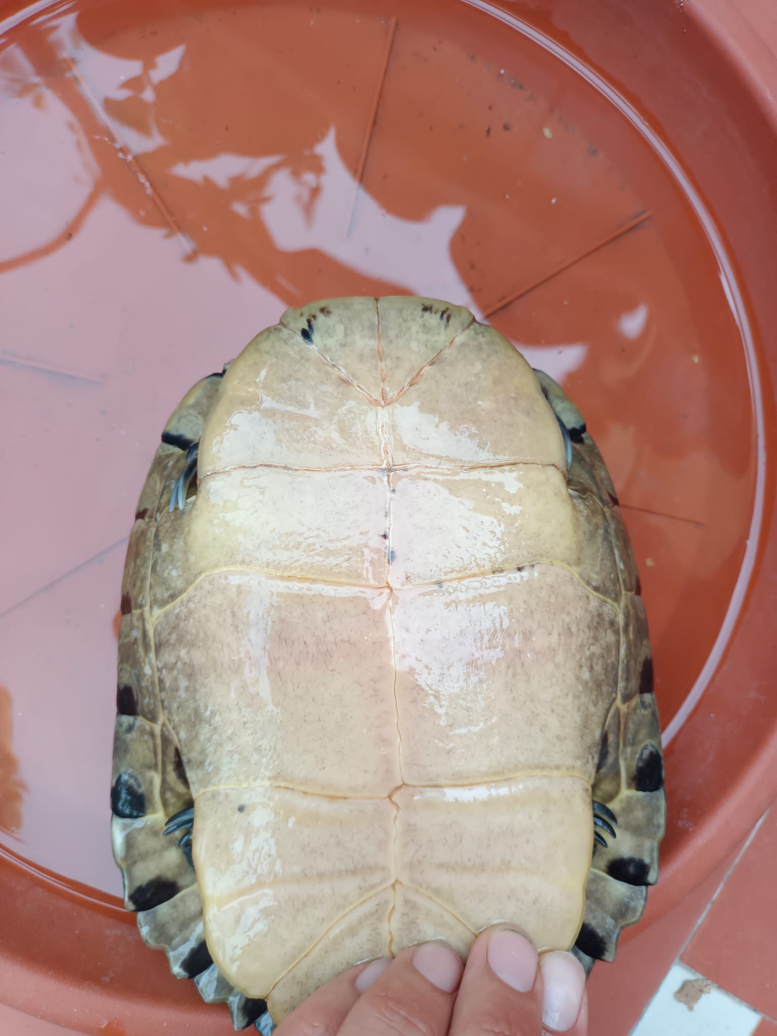 WhatsApp Image 2023-10-16 at 16.28.30 (2).jpeg