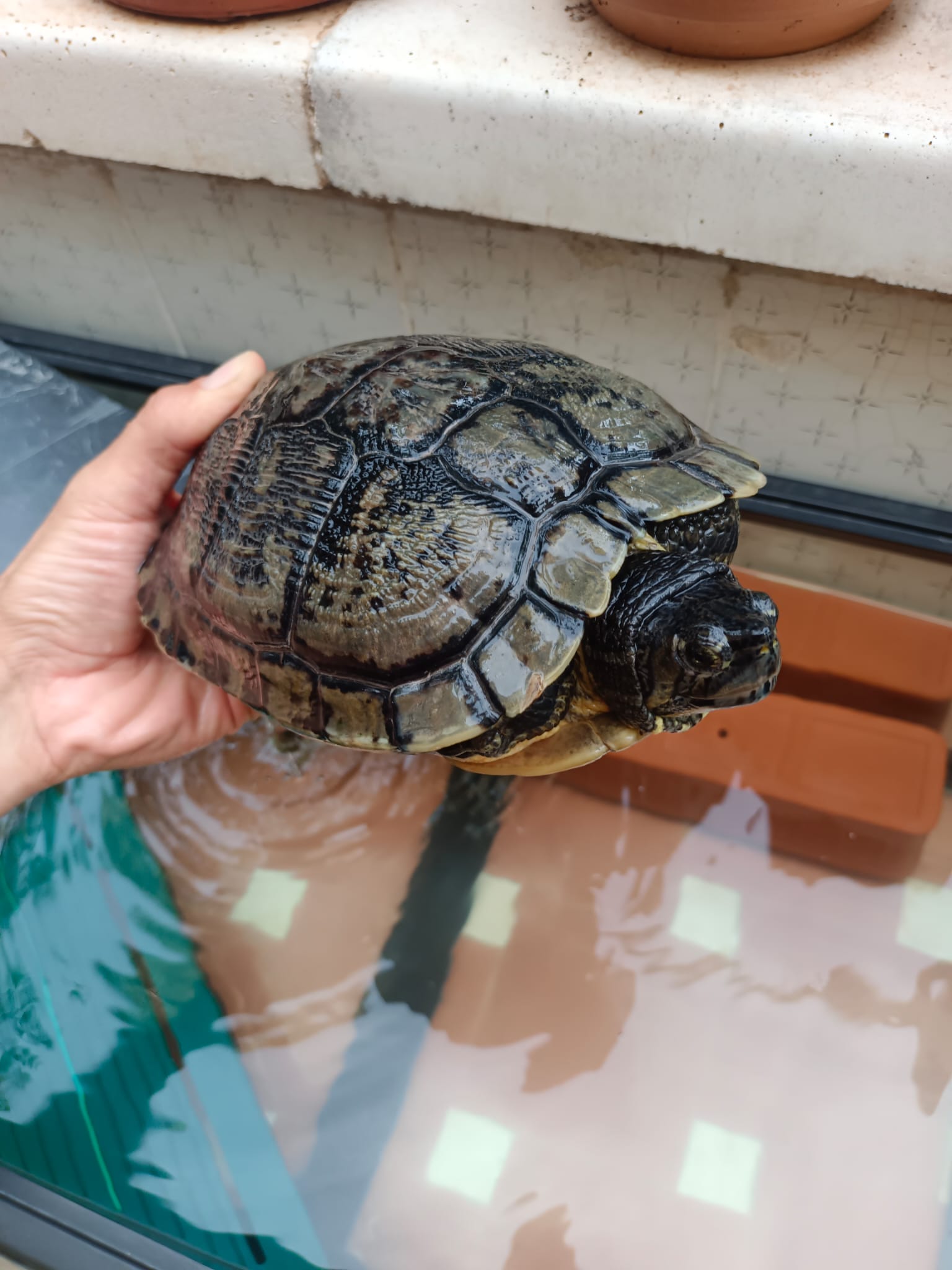 WhatsApp Image 2023-10-16 at 16.28.30.jpeg