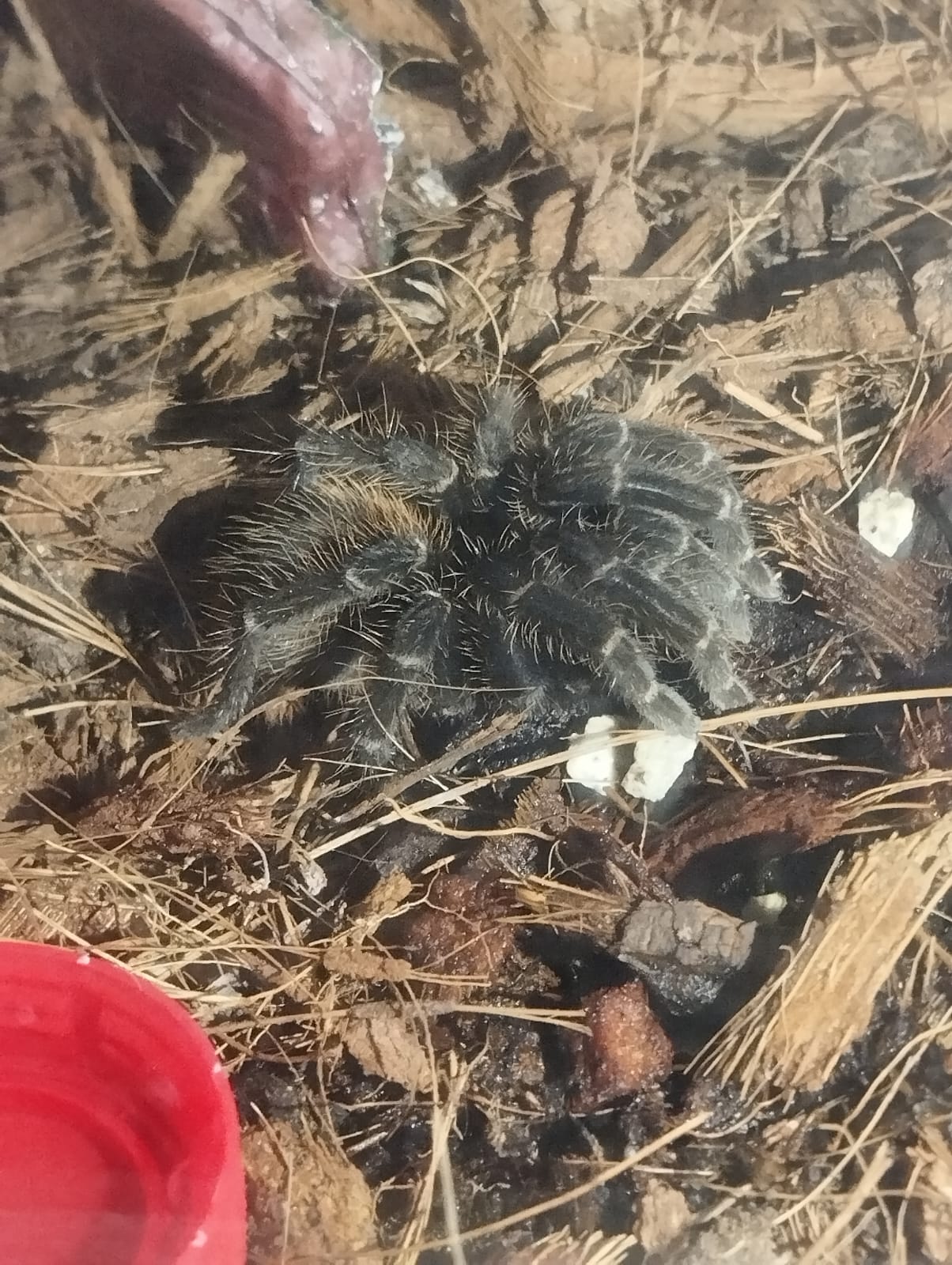 WhatsApp Image 2023-12-20 at 9.01.44 PM (1).jpeg