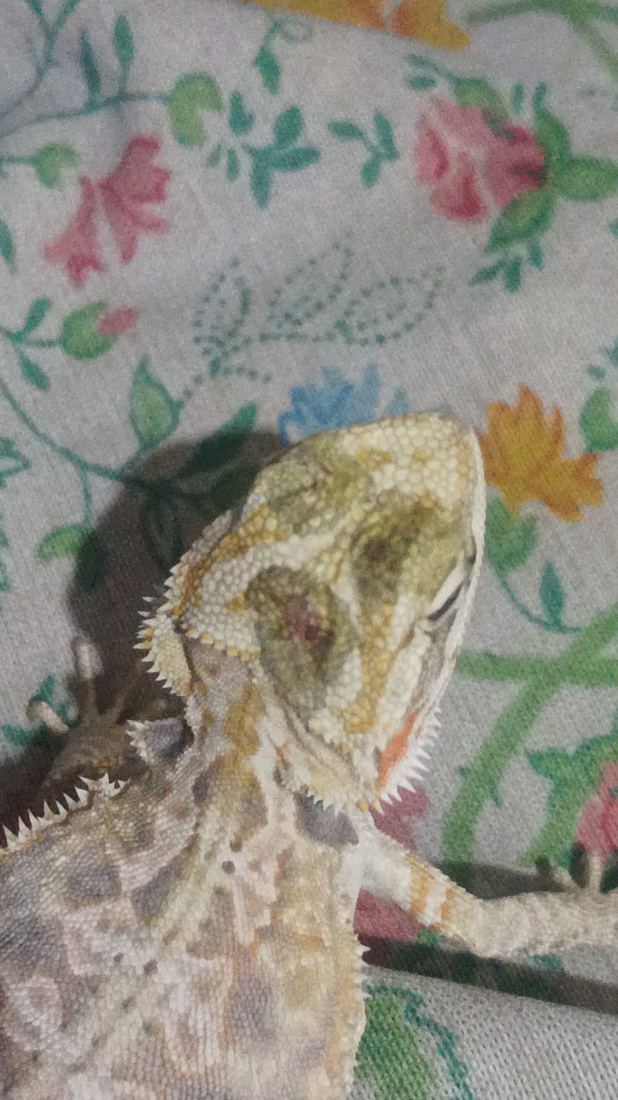 WhatsApp Image 2024-01-27 at 5.21.59 PM.jpeg