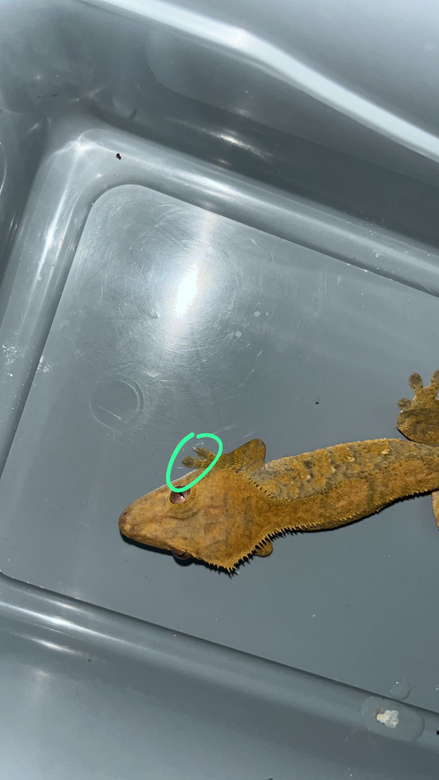 WhatsApp Image 2024-03-14 at 08.02.26.jpeg