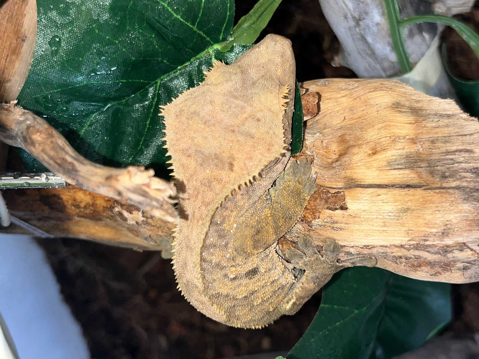 WhatsApp Image 2024-03-15 at 10.40.29.jpeg