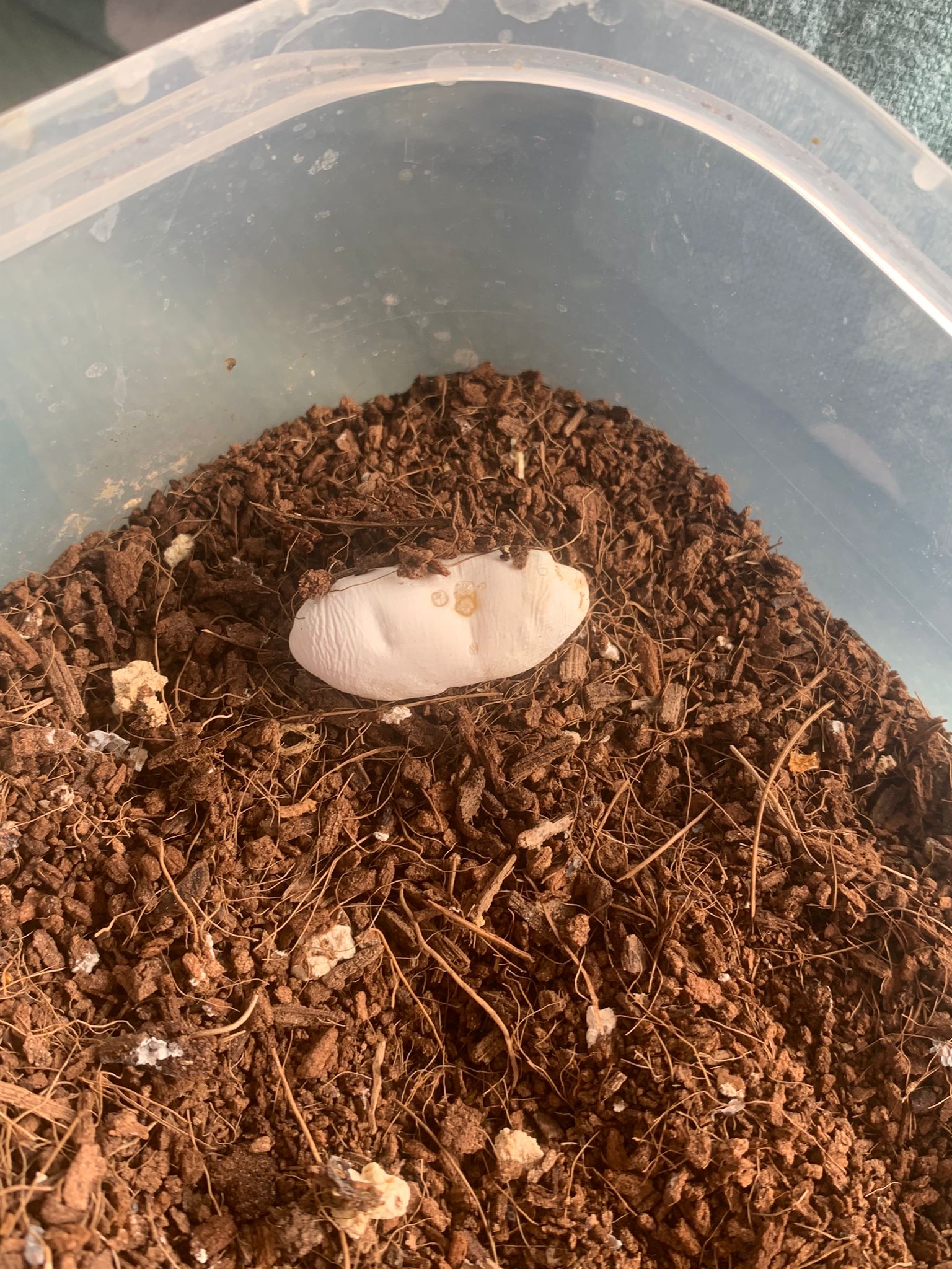 WhatsApp Image 2024-03-18 at 16.14.33.jpeg