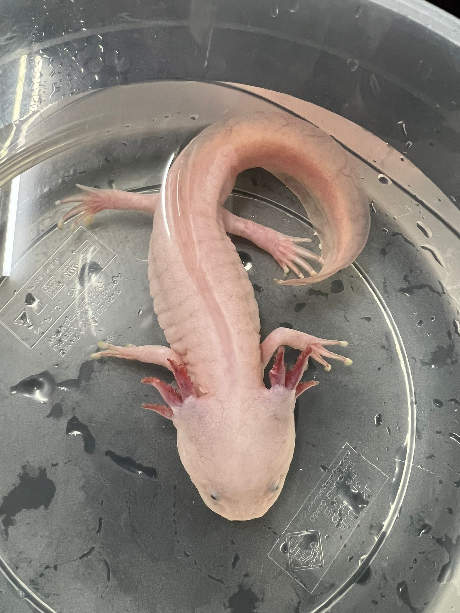 WhatsApp Image 2024-03-25 at 10.37.04.jpeg