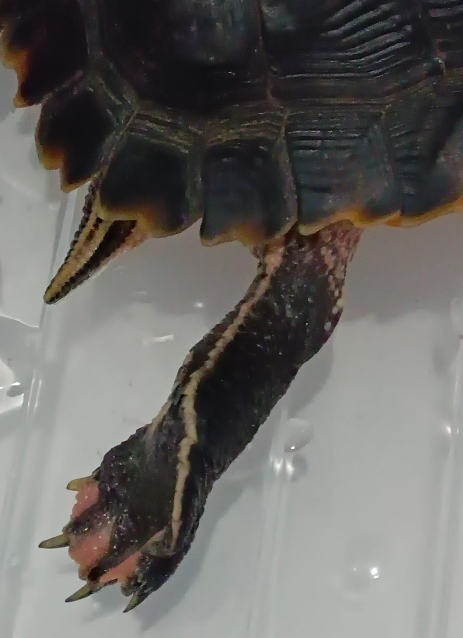 WhatsApp Image 2024-04-03 at 12.11.11 AM.jpeg