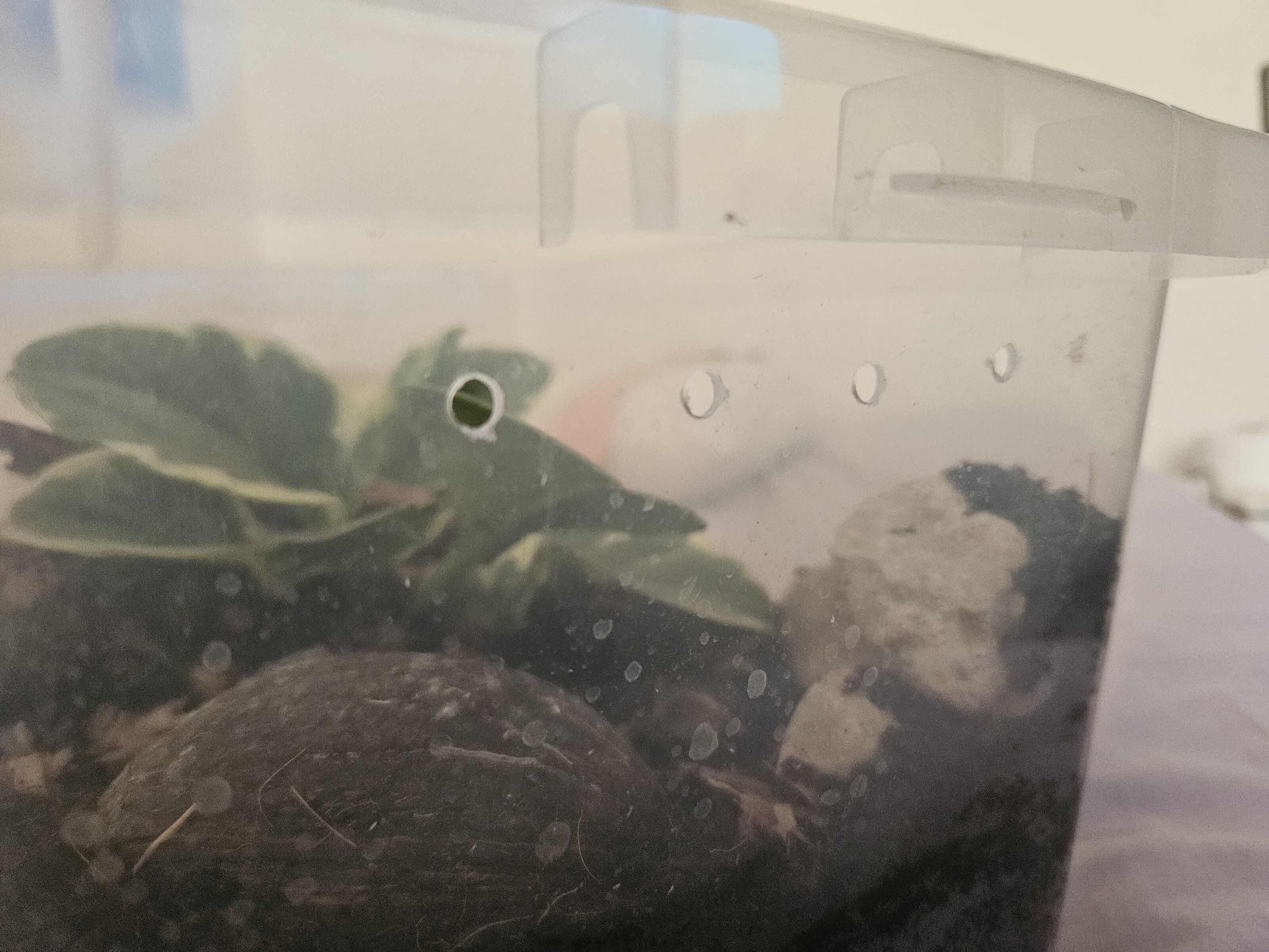 WhatsApp Image 2025-06-21 at 03.16.49 (2).jpeg