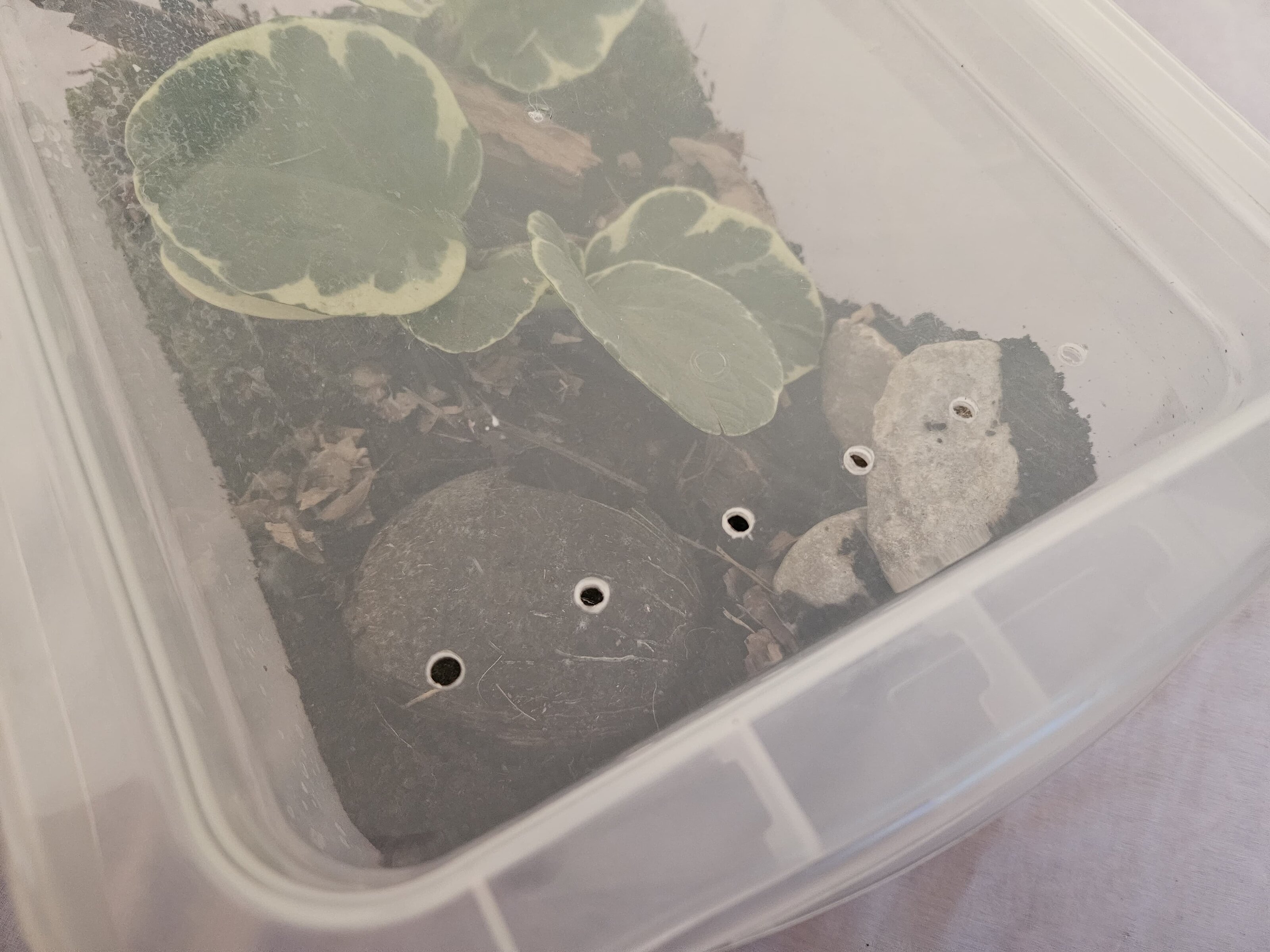 WhatsApp Image 2025-06-21 at 03.16.49.jpeg