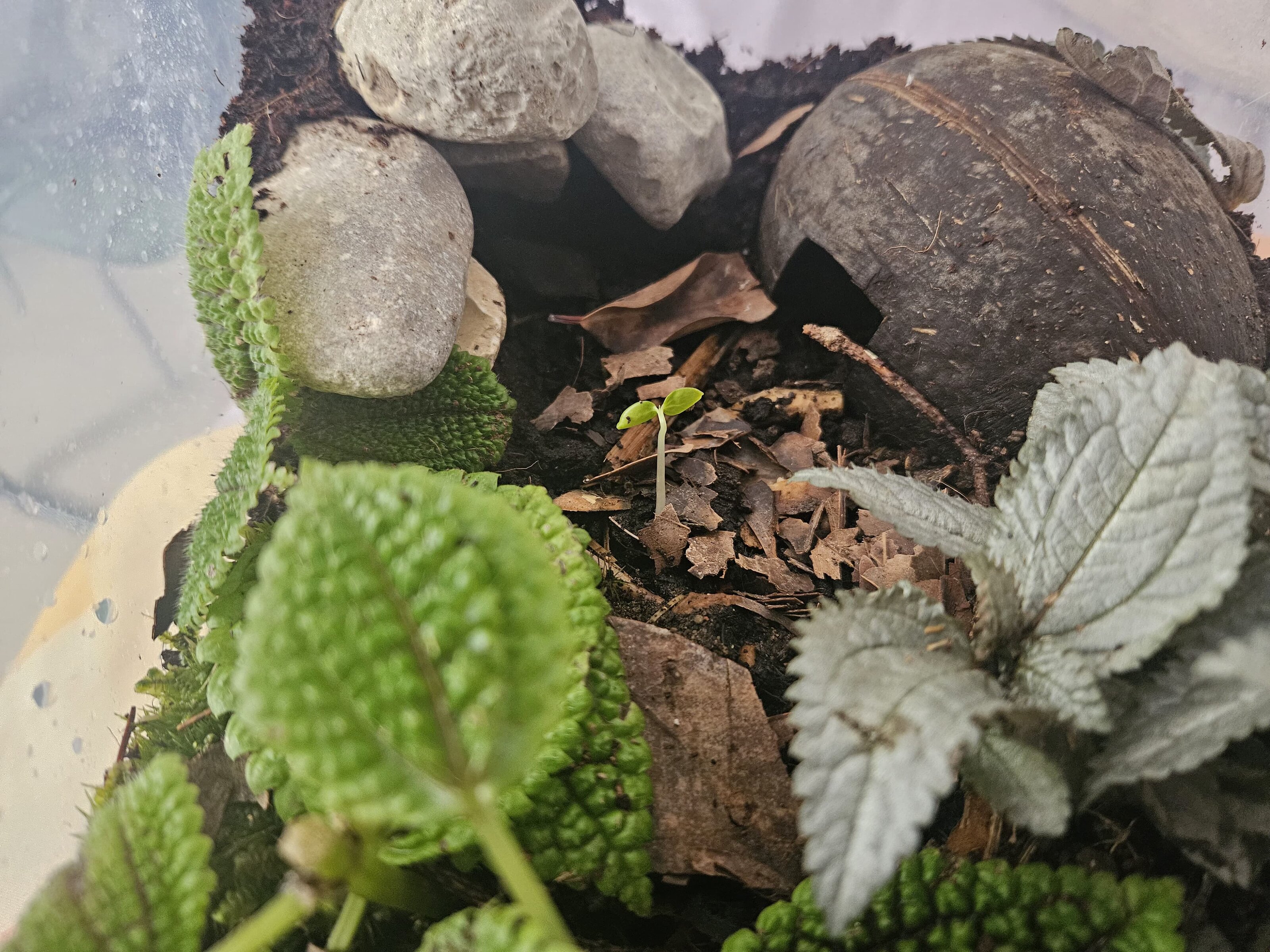 WhatsApp Image 2025-06-21 at 03.16.52.jpeg