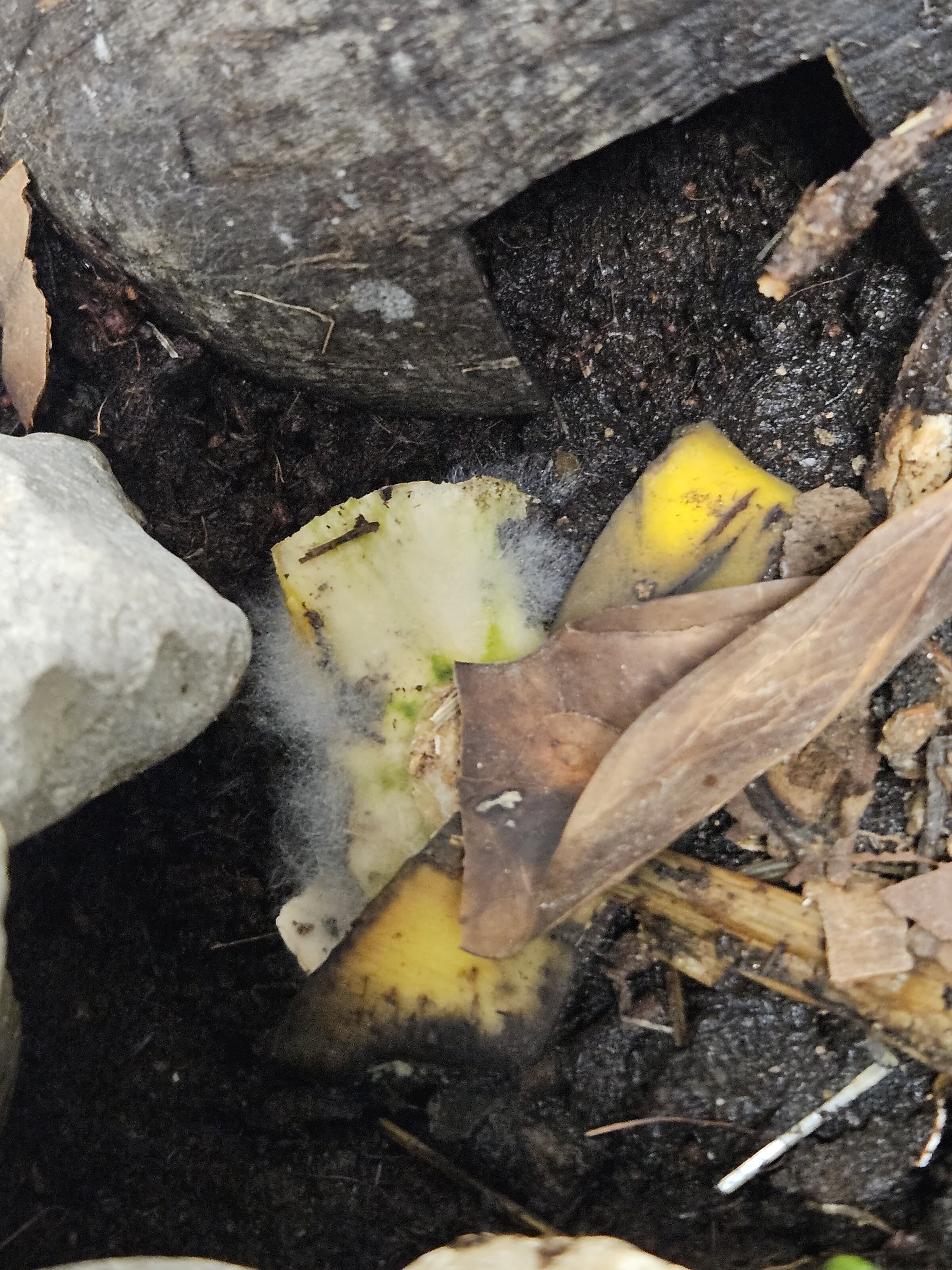 WhatsApp Image 2025-06-21 at 03.16.53 (1).jpeg