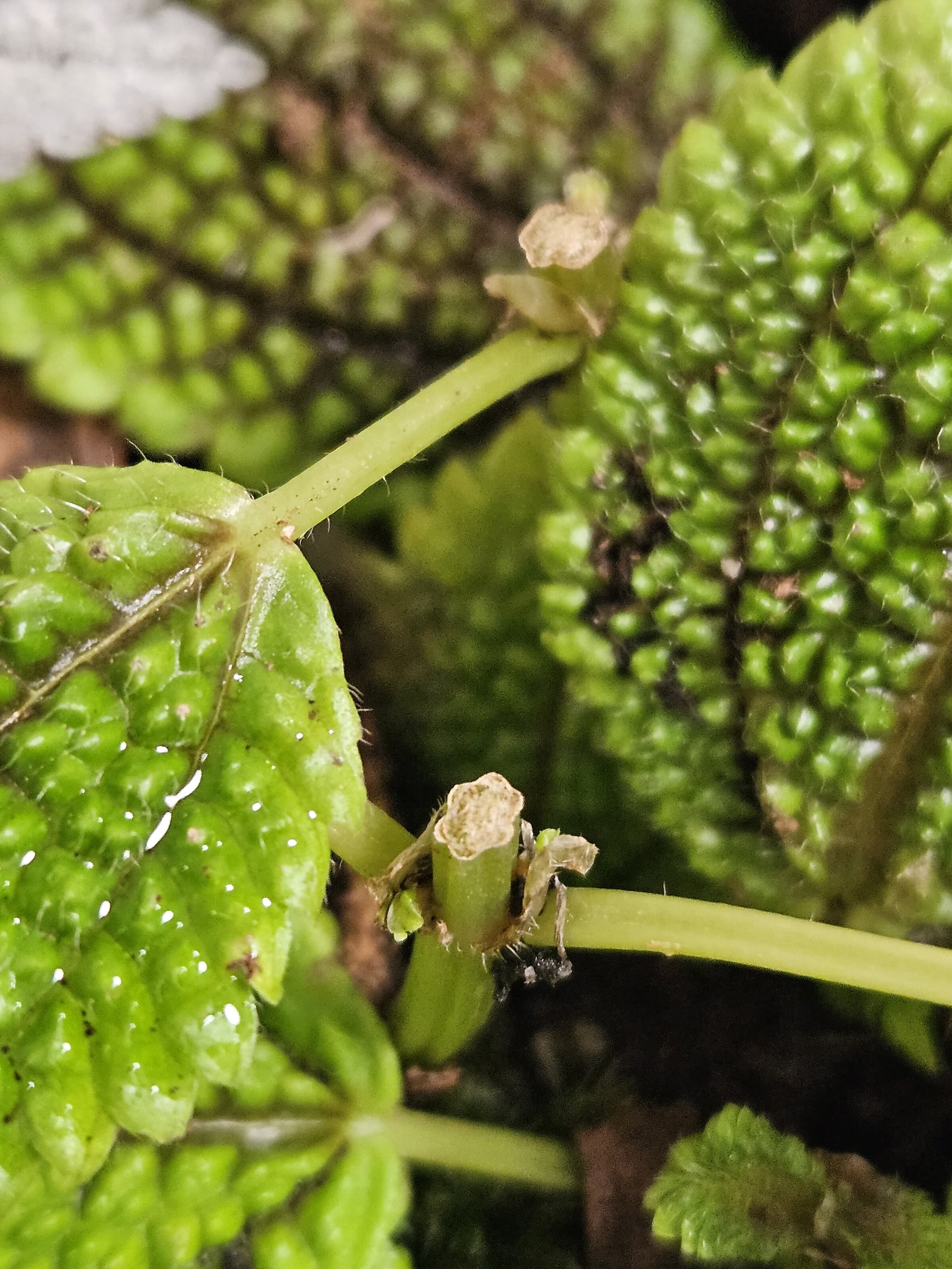 WhatsApp Image 2025-06-21 at 03.16.53.jpeg