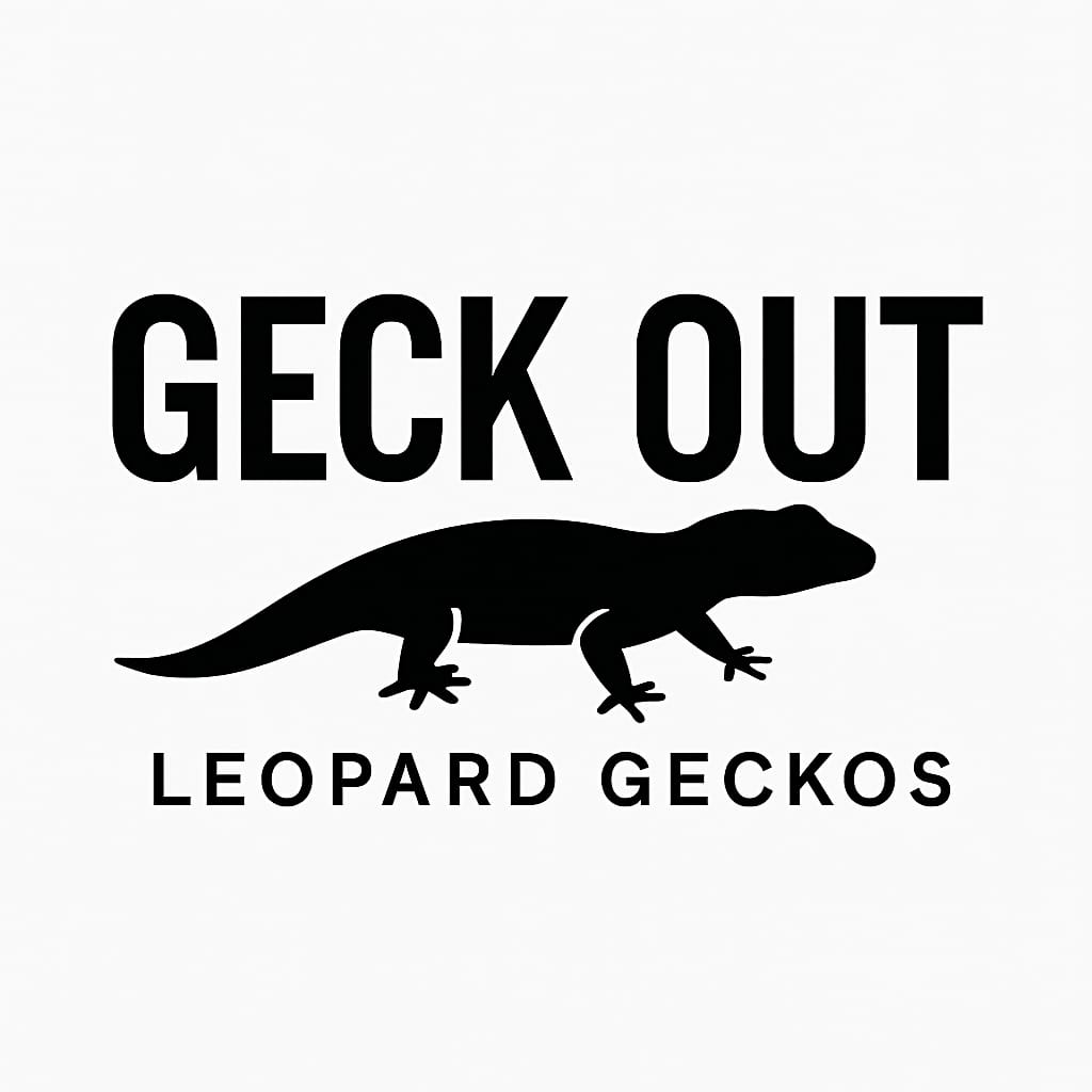 WhatsApp Image 2025-08-27 at 6.33.48 PM.jpeg