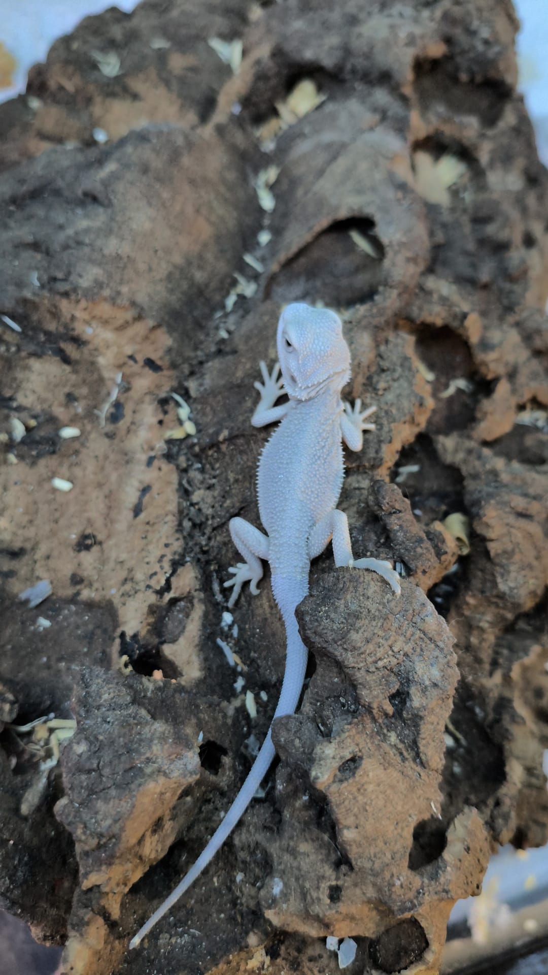 WhatsApp Image 2025-09-22 at 10.59.07.jpeg