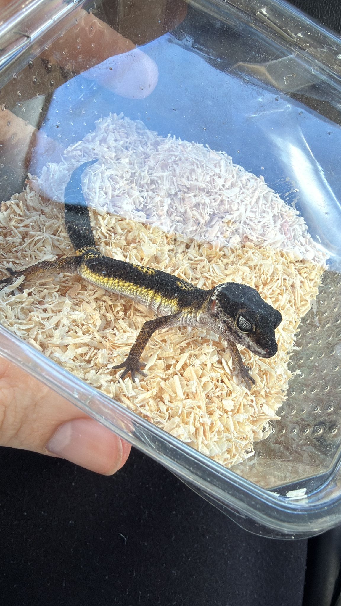 WhatsApp Image 2025-10-23 at 14.17.05.jpeg