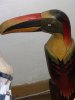 tucan.JPG