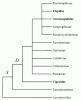 Vidal2002SnakePhylogeny.gif