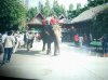 Thailandia 5 2000.JPG
