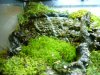 aquaterrario 003.jpg