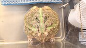 IMG_7963.jpeg