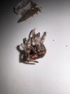 IMG_6163.jpeg
