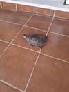 20260604_084650.jpg