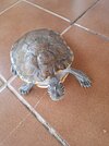 20260604_084518.jpg