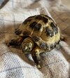 IMG_1278.jpeg