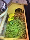 IMG_1284.jpeg