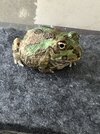 IMG_3088.jpeg