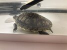 IMG_4289.jpeg