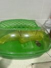 IMG_1853.jpeg