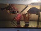 IMG_20260915_204543.jpg