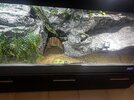 IMG_1457.jpeg