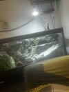 IMG_1446.jpeg