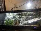 IMG_1455.jpeg
