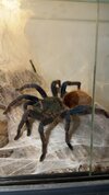 IMG_3767.jpeg