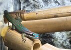 IMG_20241105_112444~2.jpg