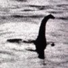 Cripto_Nessie_01_ok[1].jpg