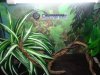 terrario.JPG